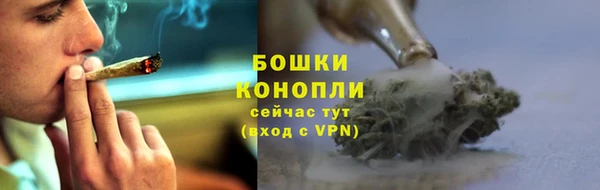 ПСИЛОЦИБИНОВЫЕ ГРИБЫ Пересвет