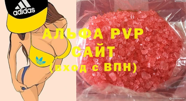 ПСИЛОЦИБИНОВЫЕ ГРИБЫ Пересвет
