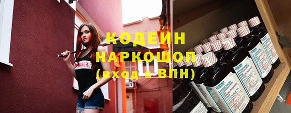 ПСИЛОЦИБИНОВЫЕ ГРИБЫ Пересвет